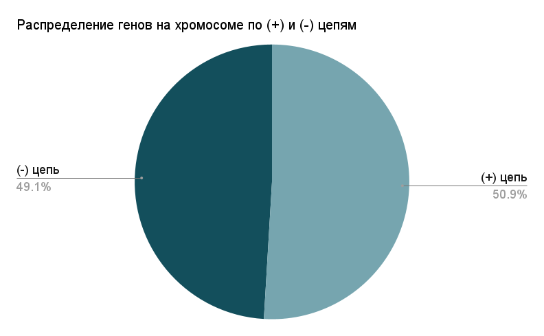 Рис. 2. Диаграмма распределения генов на хромосоме по цепям